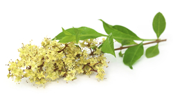 iStock_000049846404_Full